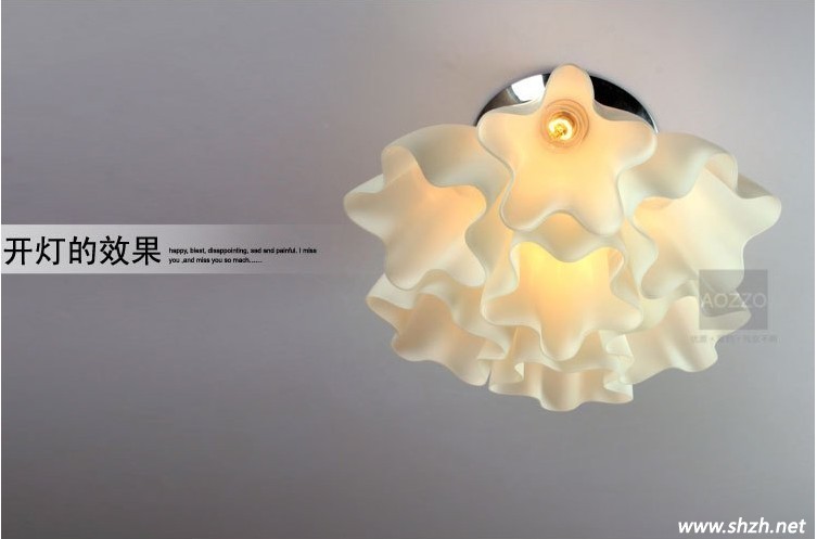 現(xiàn)代時(shí)尚吸頂燈 開燈效果